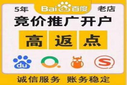 深度剖析SEM代运营公司成功案例
